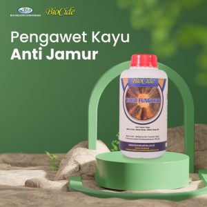 anti jamur pada kayu