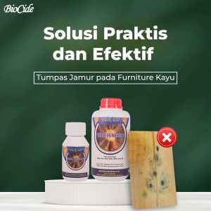 wood surface film preservative tips mengurangi resiko jamur