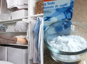 baking soda bahan alami mengatasi lemari berjamur